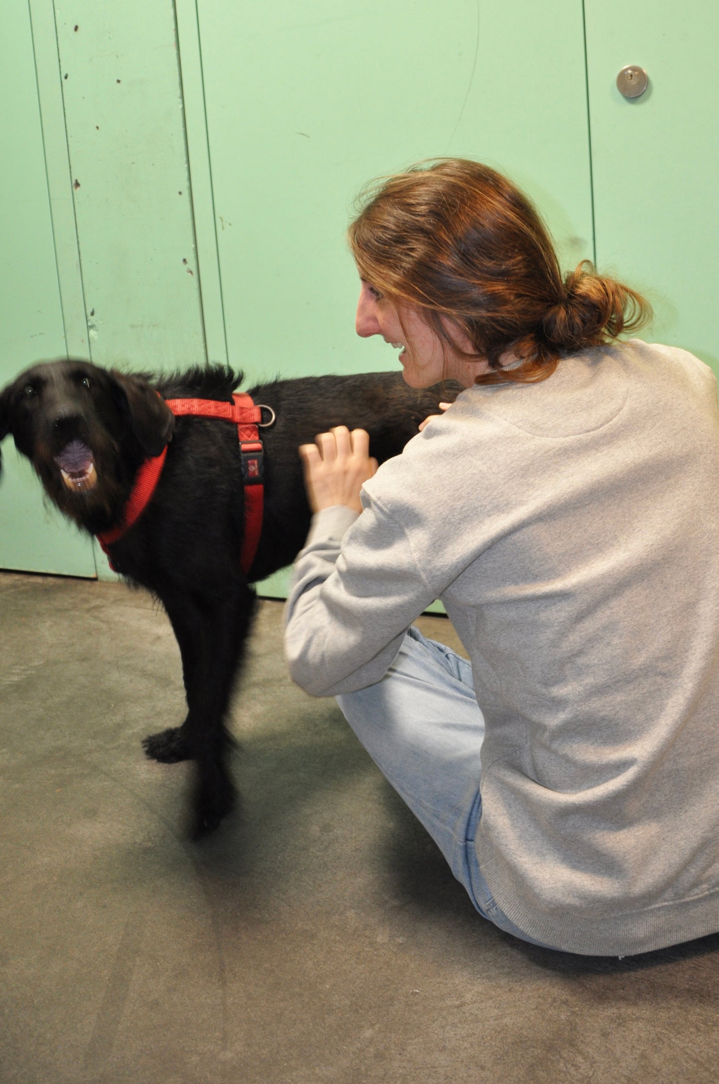Unisex Sweatshirt "Peace Power" grau melange