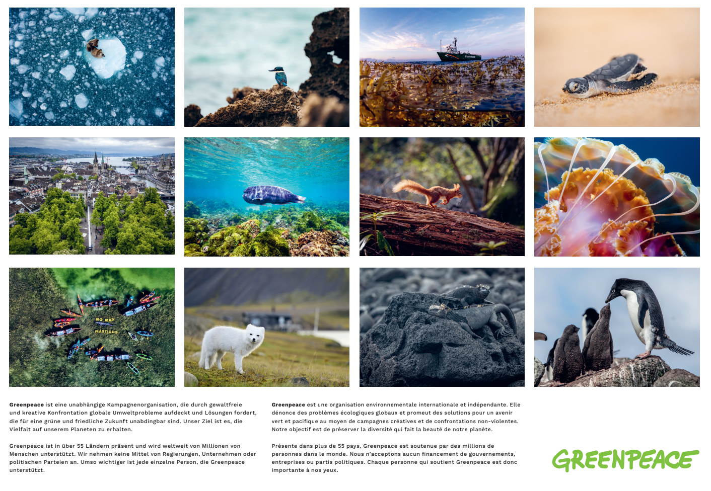 Greenpeace-Bildkalender 2026