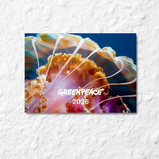 Greenpeace-Bildkalender 2026