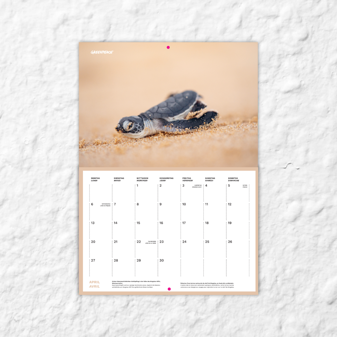 Greenpeace-Bildkalender 2026