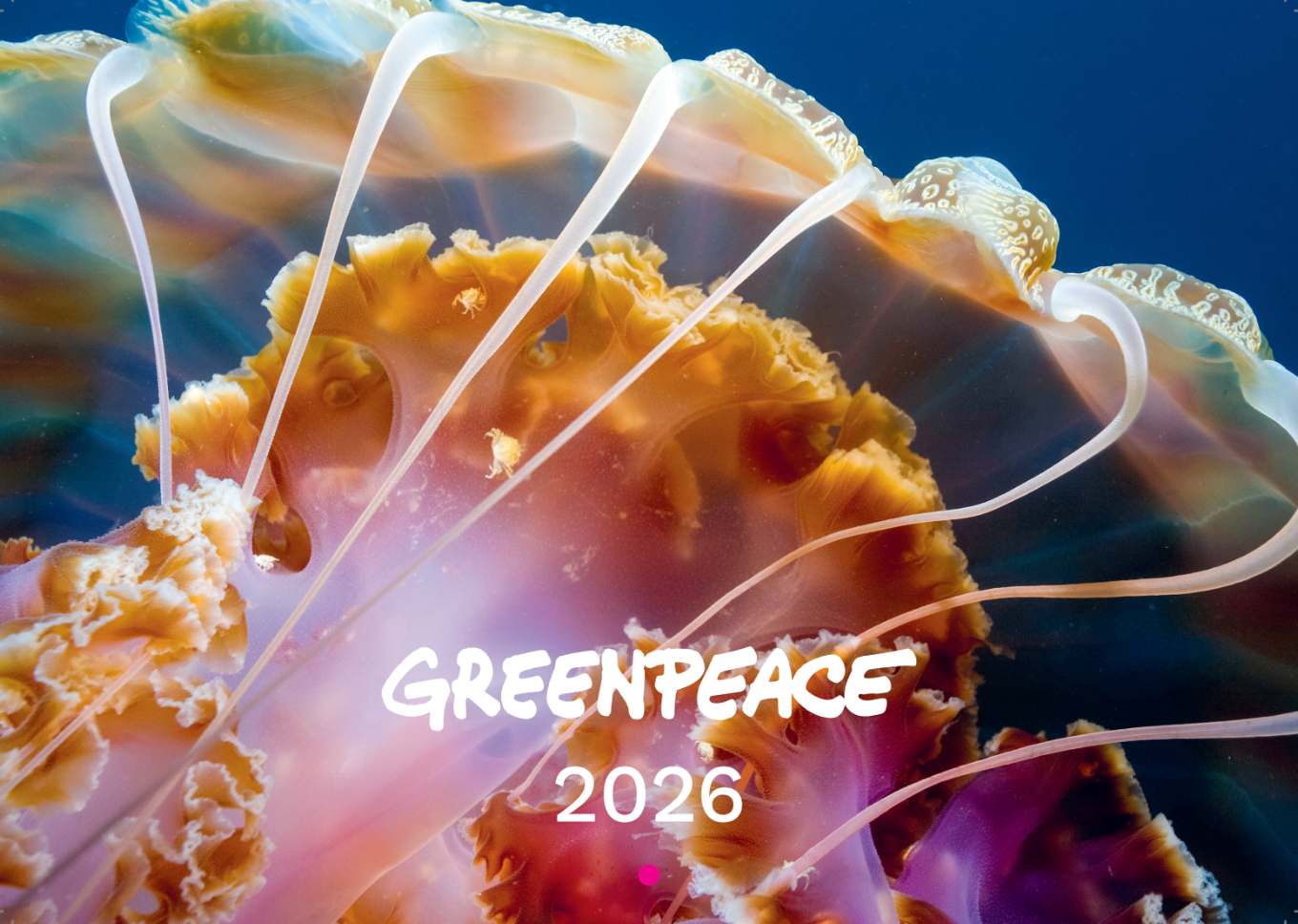 Greenpeace-Bildkalender 2026