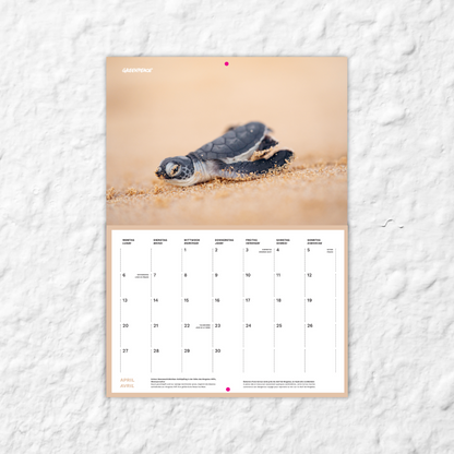 Greenpeace-Bildkalender 2026