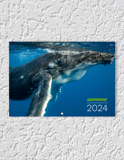Greenpeace-Bildkalender 2024